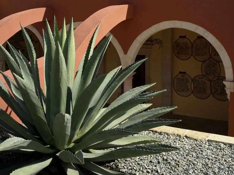 Ibis Aguascalientes Norte Екстер'єр фото